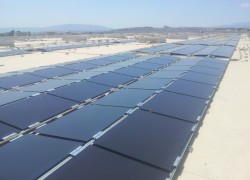 Campo solar fotovoltaico de la plataforma logística LIDL en Lorquí